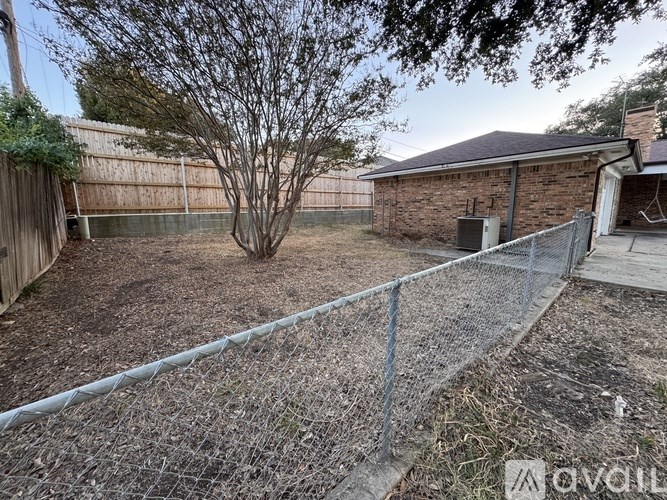 A backyard with a fence and a tree.