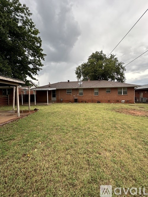 A backyard with a house and a tree.