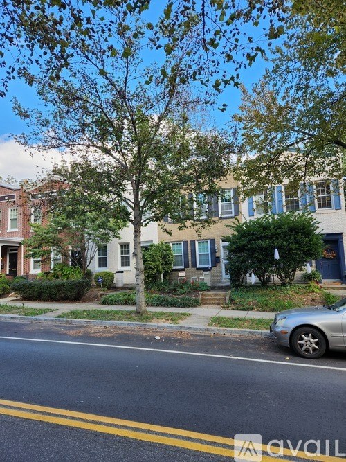 A tree in front of a building with a car parked on the side of the road.