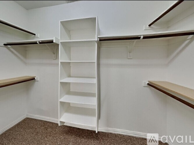 A white closet with shelves and a carpeted floor.