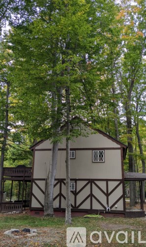 A tree stands in front of a building with a sign that says "avail".