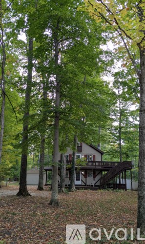A house surrounded by trees in a forest.