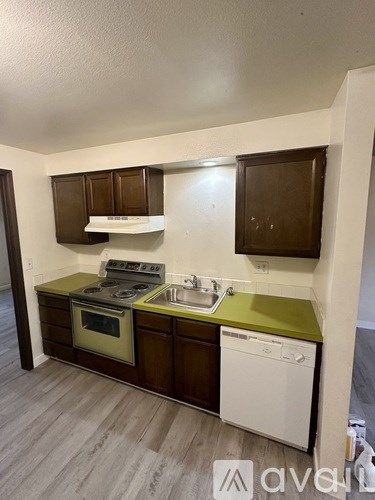 A small kitchen with a white dishwasher and a green counter.