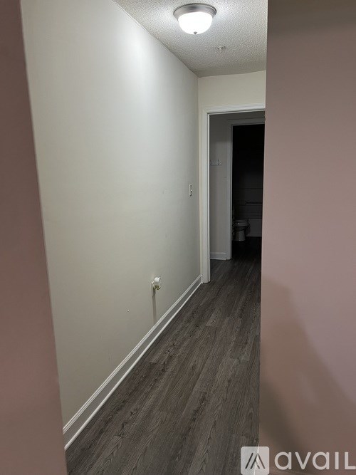 A hallway with a light on the ceiling and a door at the end.