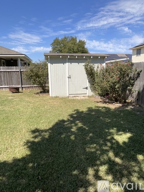A shed sits in a grassy backyard.