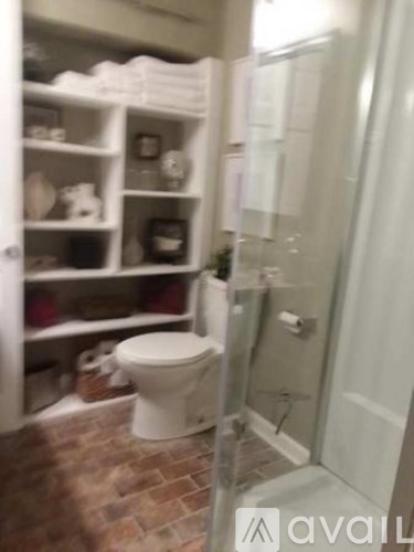 Source URL: https://prod-avail.s3.amazonaws.com/public_images/41512901/listing/EW_Bsmt_Ad_Pics_Bathroom_shower_toilet_shelves__Oct_25.png