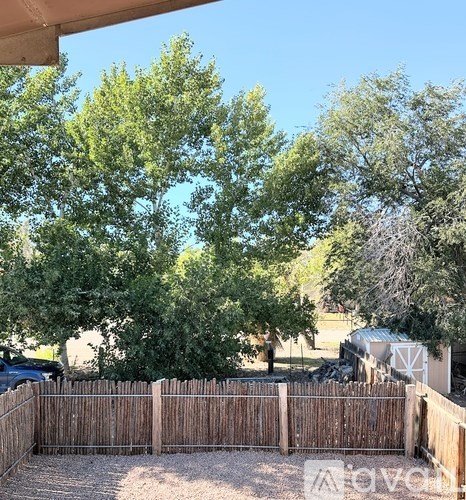 A backyard with a wooden fence and trees.
