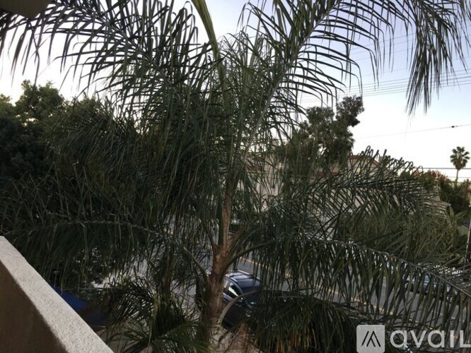 Source URL: https://prod-avail.s3.amazonaws.com/public_images/41510902/listing/14718-w-magnolia-blvd-unit-3-los-angeles-ca-view-from-balcony.jpg