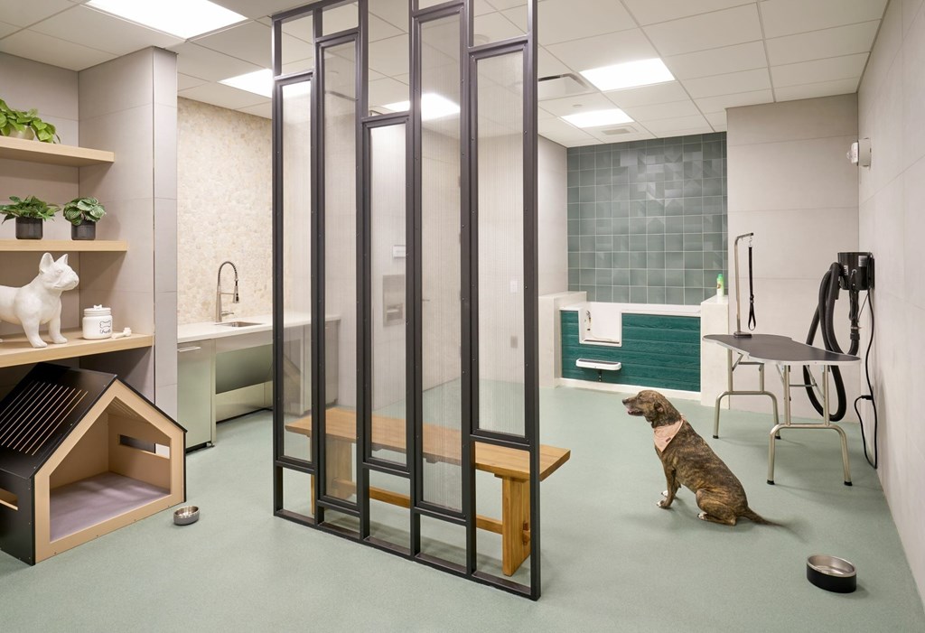 A dog is sitting on the floor in a room with a glass door.