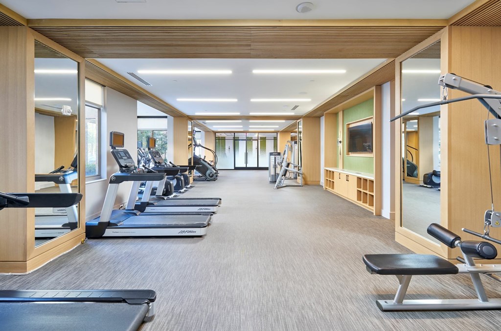 A gym with treadmills, exercise bikes, and weight machines.