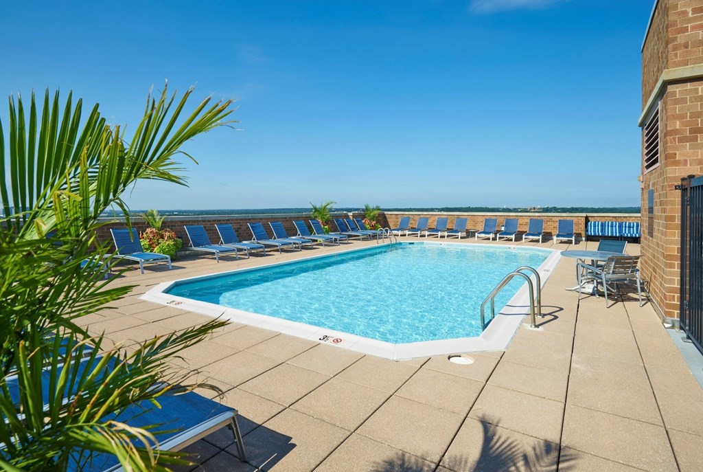 A pool surrounded by chairs and a palm tree.