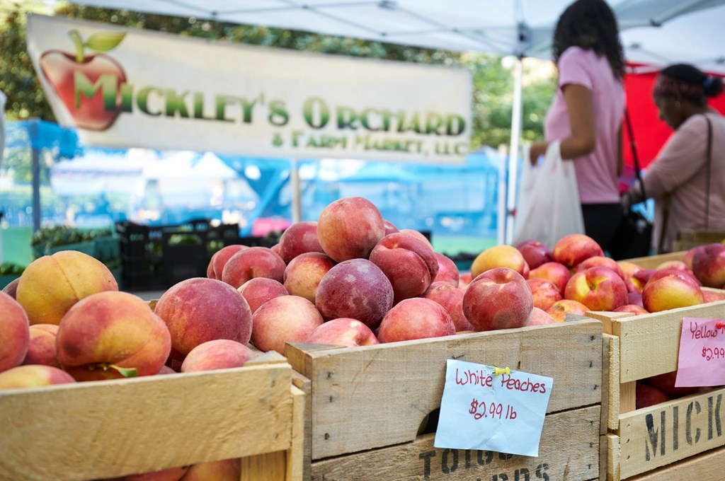 A fruit stand with a sign that says "Mickley's Orchard" is selling peaches.