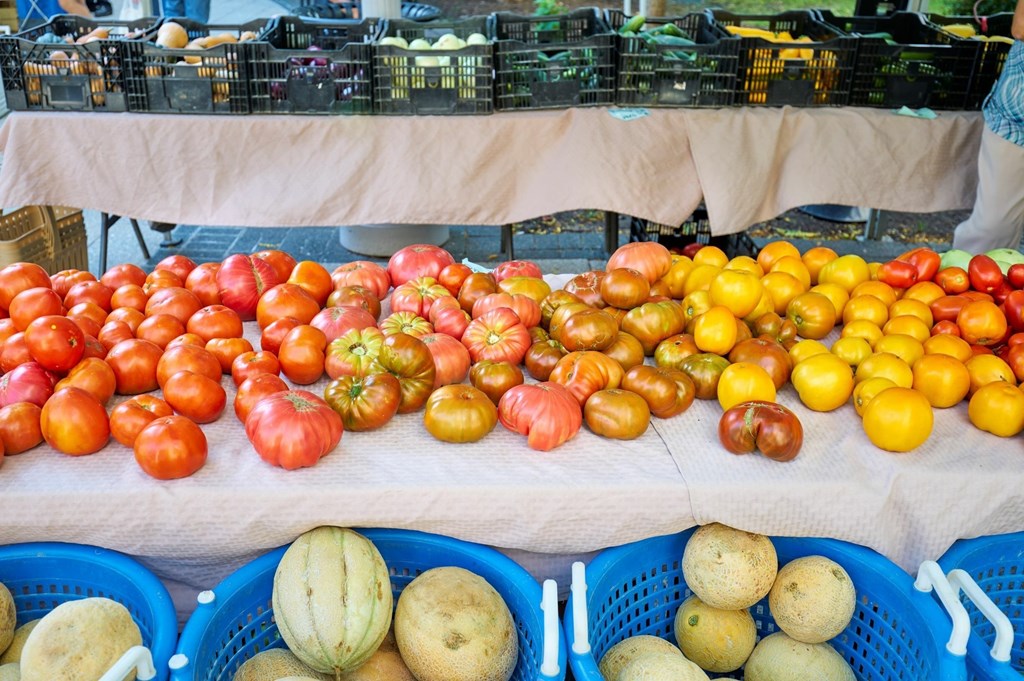 A table full of different types of fruit including apples, oranges, and watermelons.