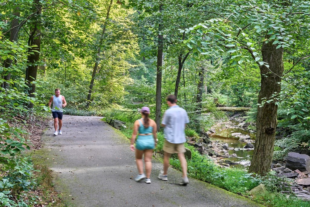 Three people walking on a path in a green forest.