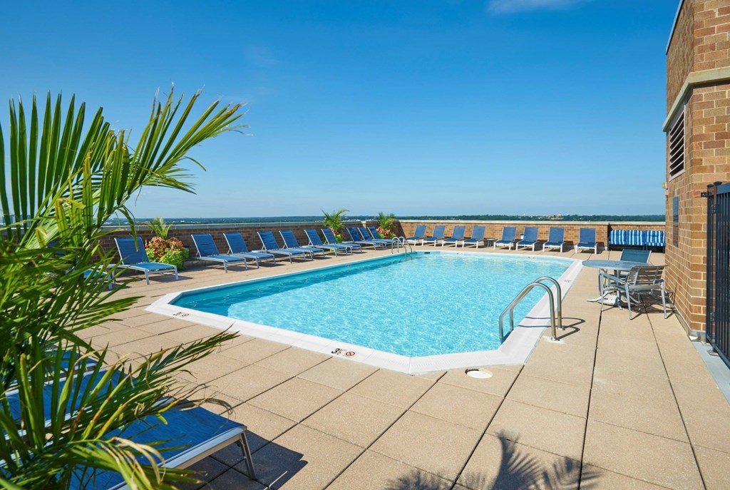 A pool surrounded by chairs and a palm tree.