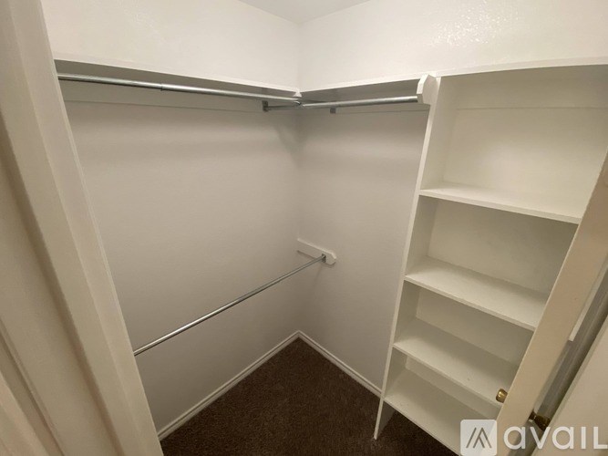 A white closet with shelves and a carpeted floor.