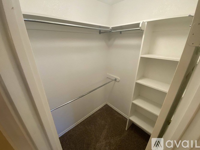 A white closet with shelves and a carpeted floor.
