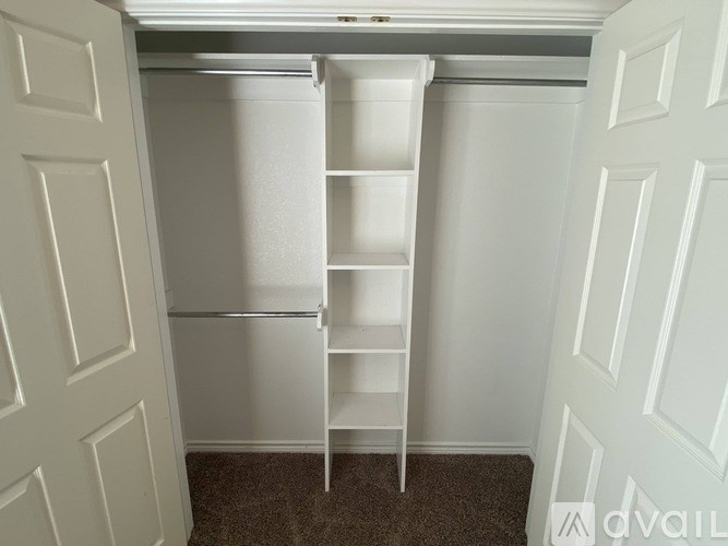 A white closet with shelves and a carpeted floor.