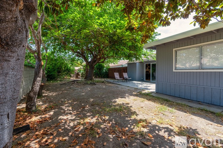 A backyard with a tree and a house.