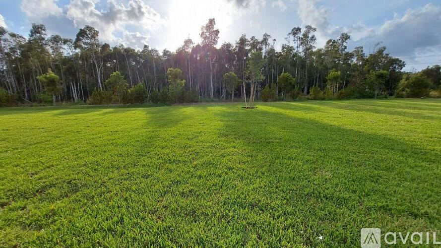 A field with green grass and trees in the background.