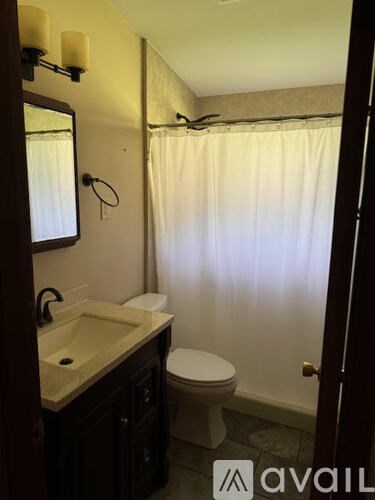 A bathroom with a sink, toilet and shower curtain.