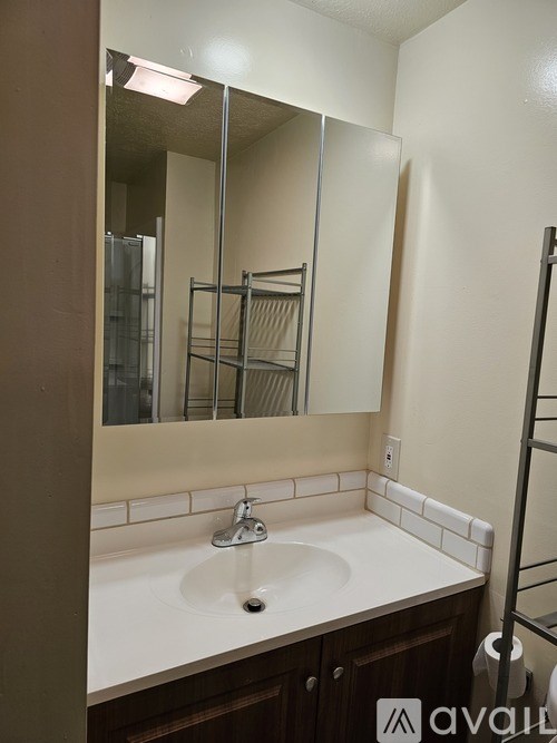 A bathroom with a sink, mirror, and toilet paper.