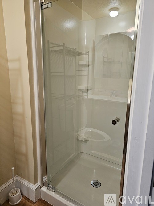 A glass shower stall with a white door and a white toilet brush holder.