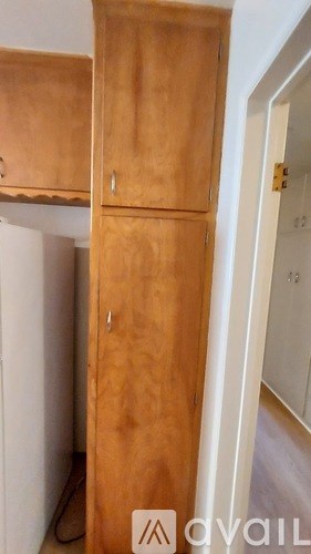 A tall wooden cabinet with a door and a shelf on top.