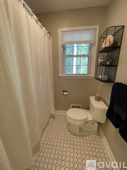 A bathroom with a toilet, a shower curtain, and a window.