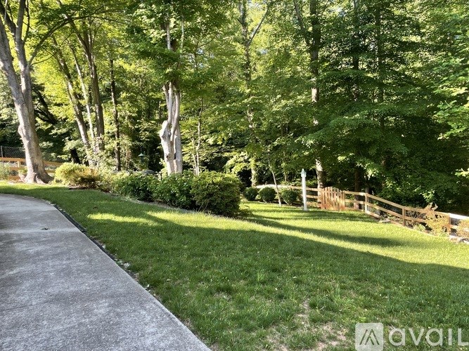 A concrete walkway leads through a lush green park.