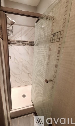 A bathroom with a walk in shower and a toilet.