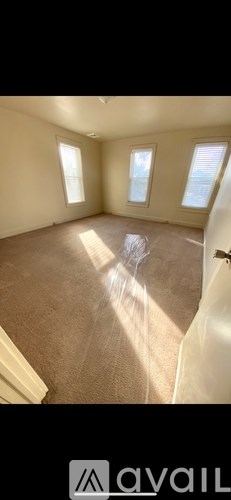 A room with two windows and a carpeted floor.