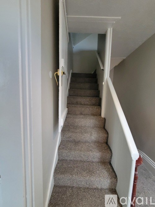 A staircase with a carpeted runner and white handrails.