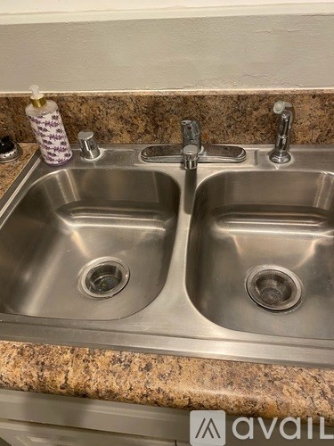 A double sink stainless steel kitchen sink with a bottle of soap on the counter.