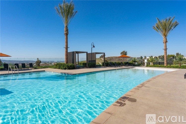 A pool with a clear blue sky and palm trees in the background.