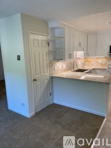 A kitchen area with a sink and a countertop.