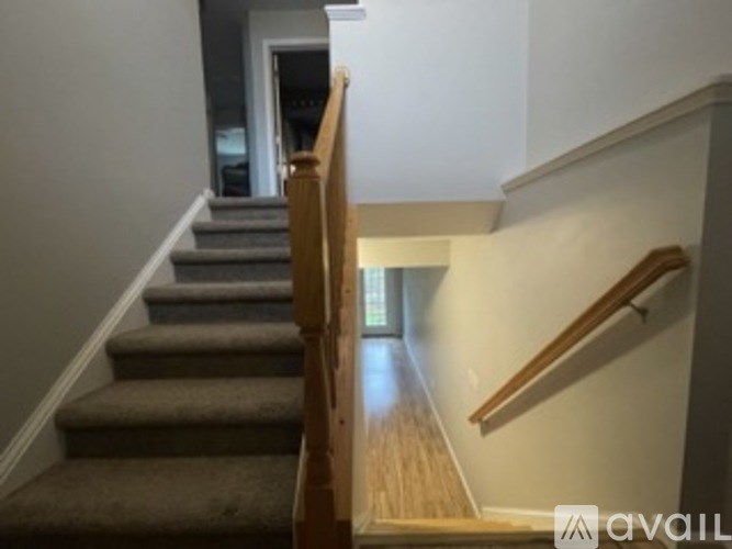 A staircase with a wooden handrail and beige carpeted steps.