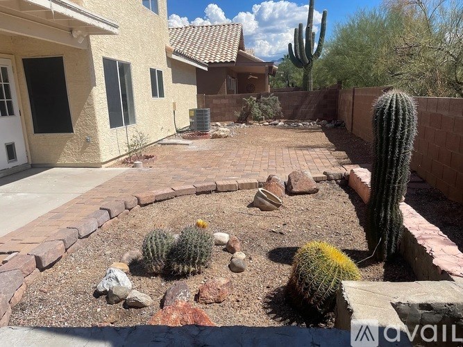 A cactus garden in front of a house.