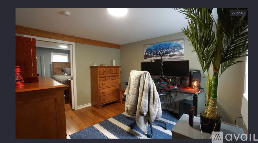 A room with a bed, a dresser, a desk, and a plant.