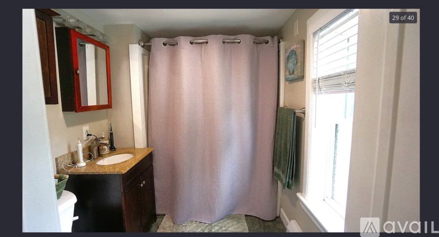 A bathroom with a sink, mirror, and shower curtain.