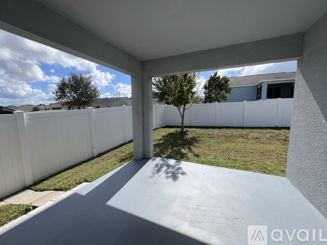 A tree stands alone in a concrete courtyard.