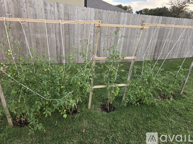 A garden with a fence and plants.