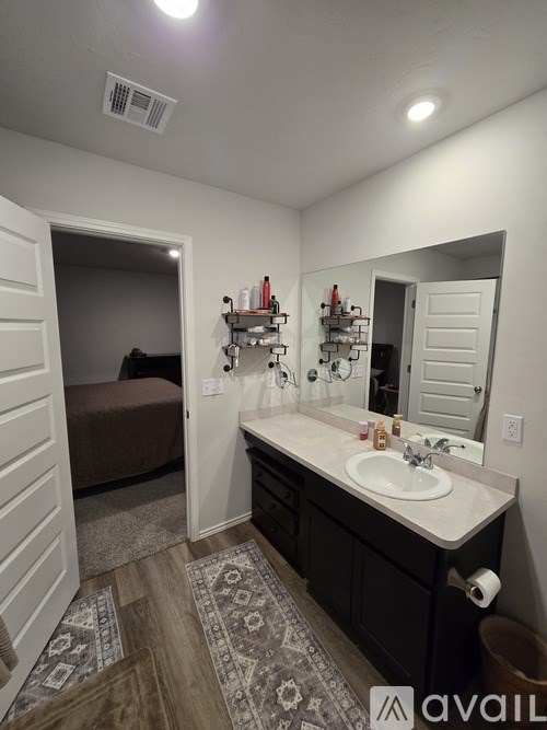 A bathroom with a sink, mirror, and a rug on the floor.