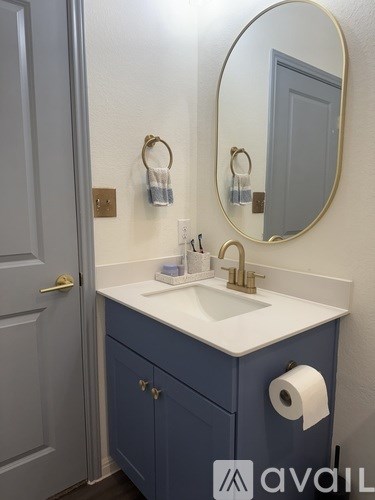 A bathroom with a sink, mirror, and toilet paper.