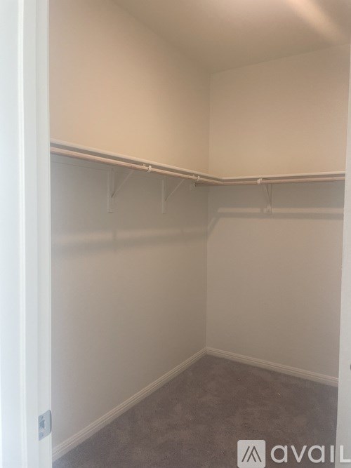 A white closet with a grey carpet.