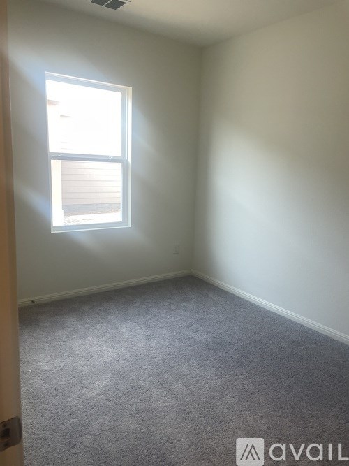 A room with a carpeted floor and a window letting in sunlight.