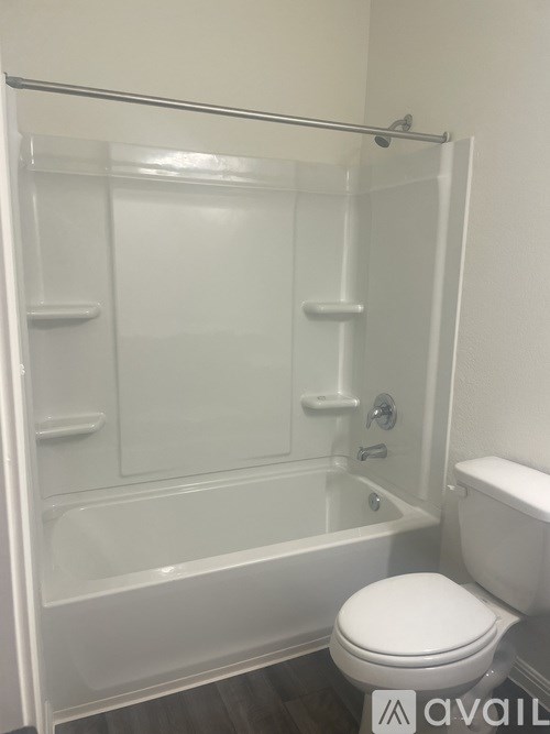 A white toilet sits next to a walk-in shower.