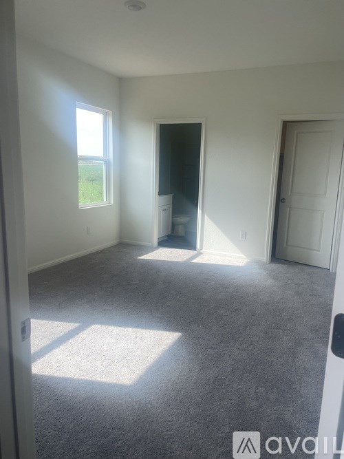 A room with a carpeted floor and a window letting in sunlight.