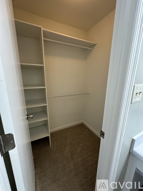 A white closet with shelves and a black door.