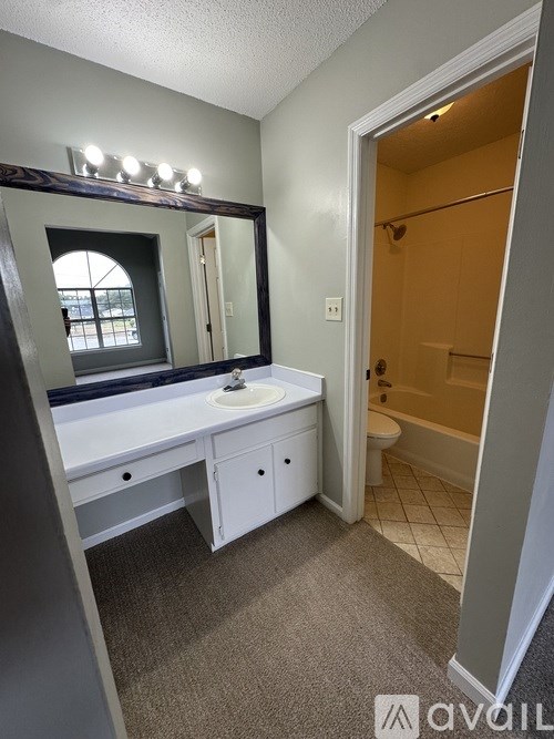 A bathroom with a vanity and a mirror.